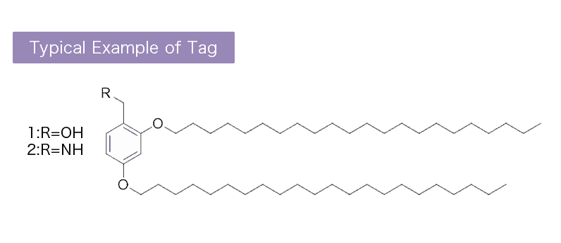 Typical Example of Tag